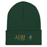 Korean Beanie