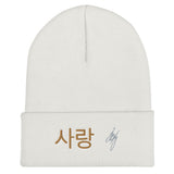 Korean Beanie